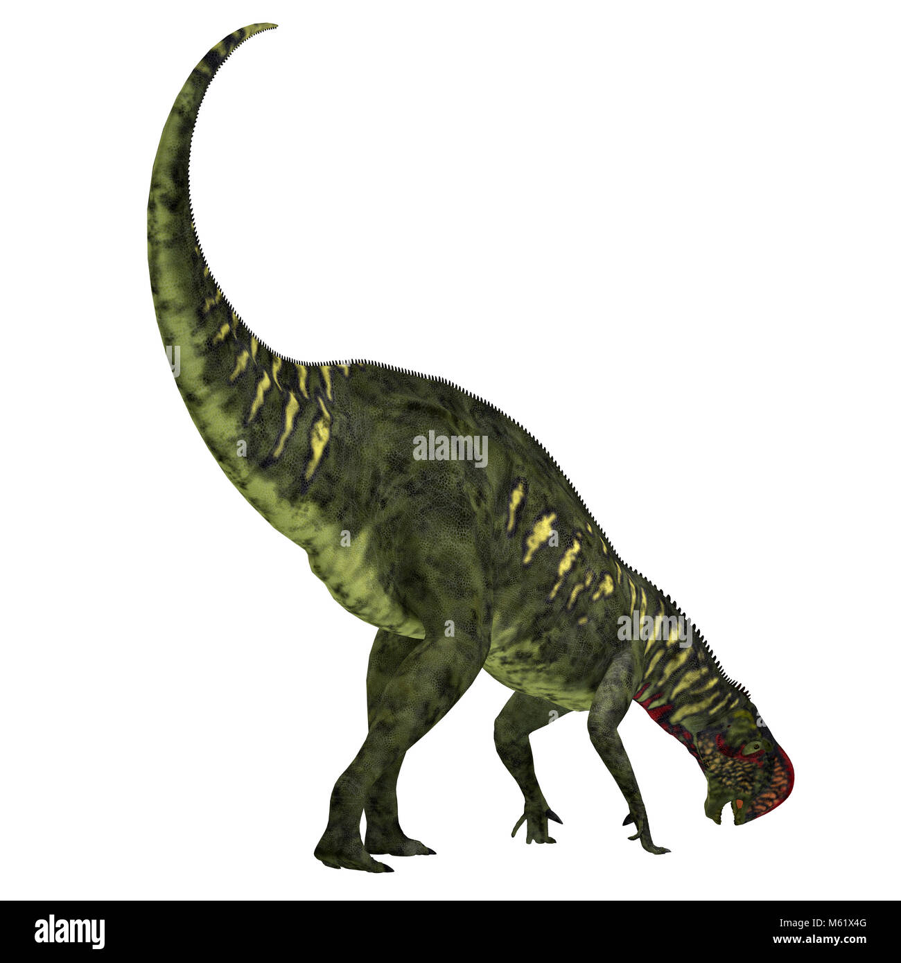 Iguanodont Altirhinus war ein Pflanzenfresser Dinosaurier aus der Kreidezeit der Mongolei. Stockfoto