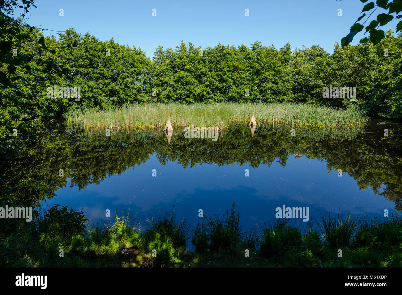 Sønderho Gamle Fuglekøje, Sønderho alten Vogelkoje Stockfoto