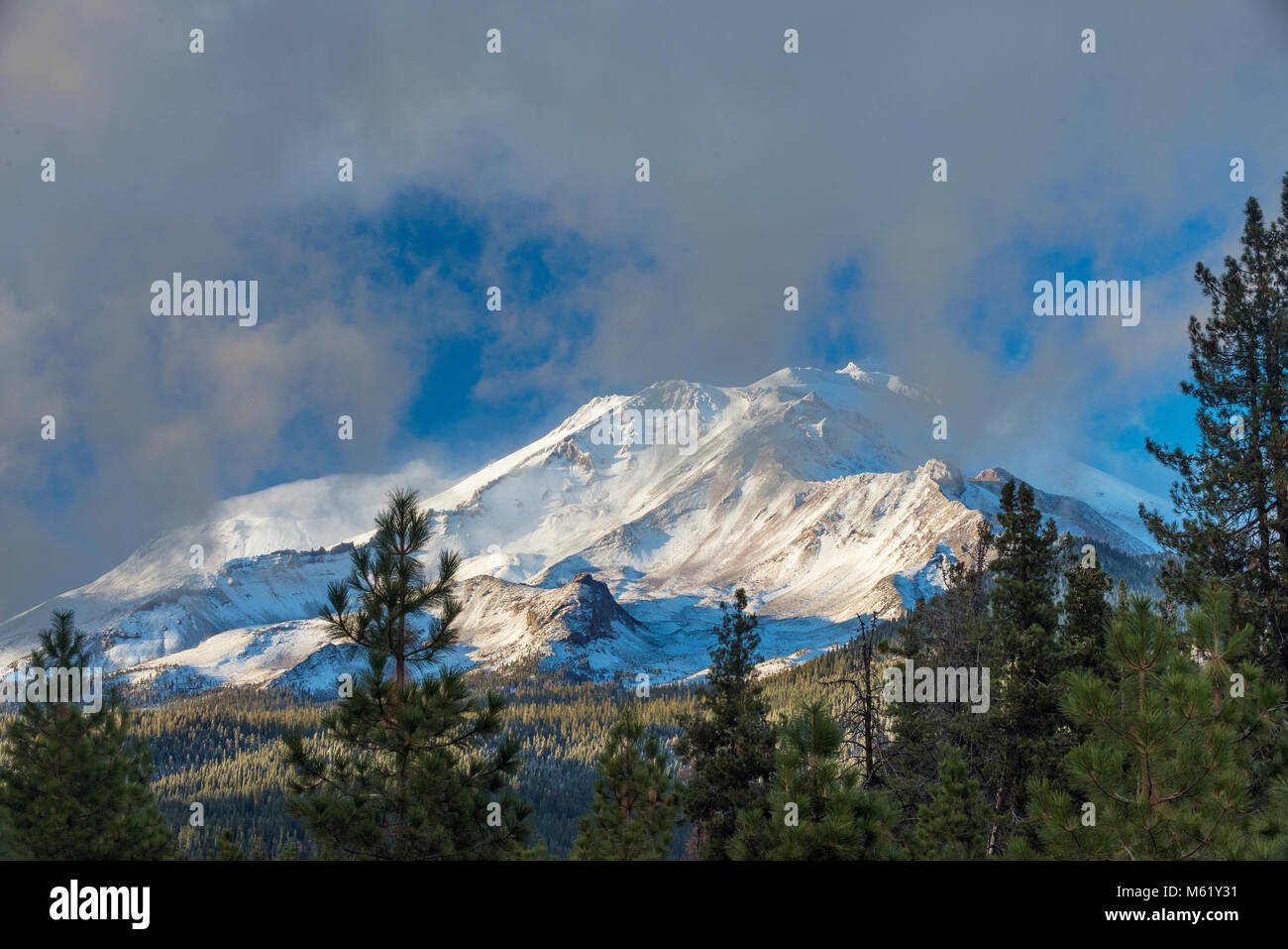 Mount Shasta, Shastina, Shasta-Trinity National Forest, Kalifornien Stockfoto