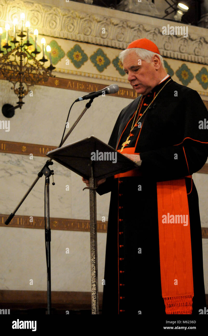 German Cardinal -Fotos Und -Bildmaterial In Hoher Auflsung - Seite 2