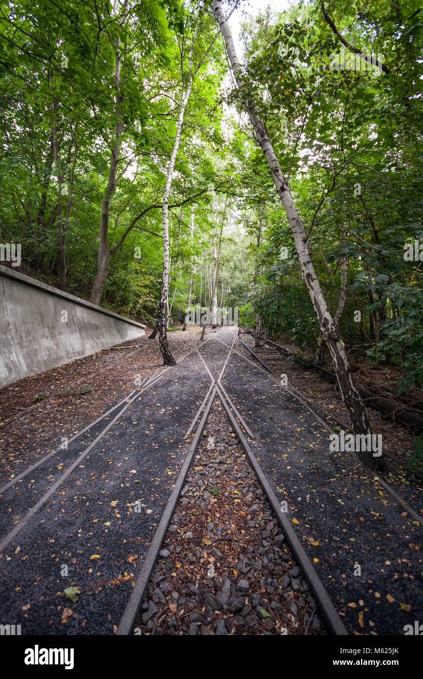 Europäische weißen Birken zwischen den Anschlüssen auf einem verlassenen Bahnhof, jetzt ein öffentlicher Park Naturpark Schöneberger Südgelände, Berlin. Stockfoto