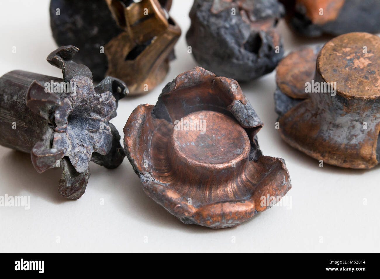 Verschiedene Arten der wiederhergestellten verbrachte Aufzählungszeichen (Geschosse), Erweiterung (Pilze) - USA Stockfoto