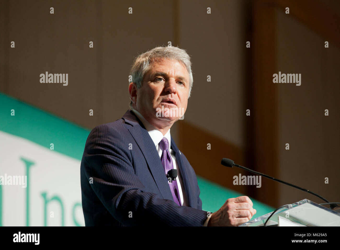 Michael McCaul, der republikanische Kongreßabgeordnete, Texas 10. Bezirk und Vorsitzender des Ausschusses für Heimatschutz - Washington, DC, USA Stockfoto