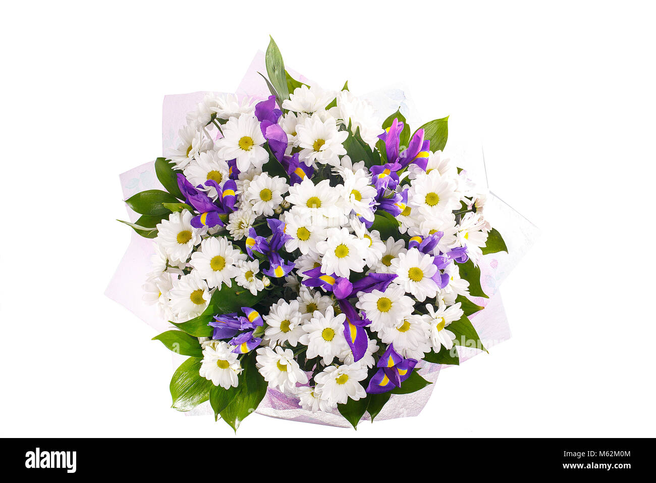 Blumenstrauß aus Chrysanthemen, Gänseblümchen und violett Iris, russus, lila-Paket. Farbe, Kontrast. Ein Urlaub, ein Geschenk für eine Frau. Sma Stockfoto