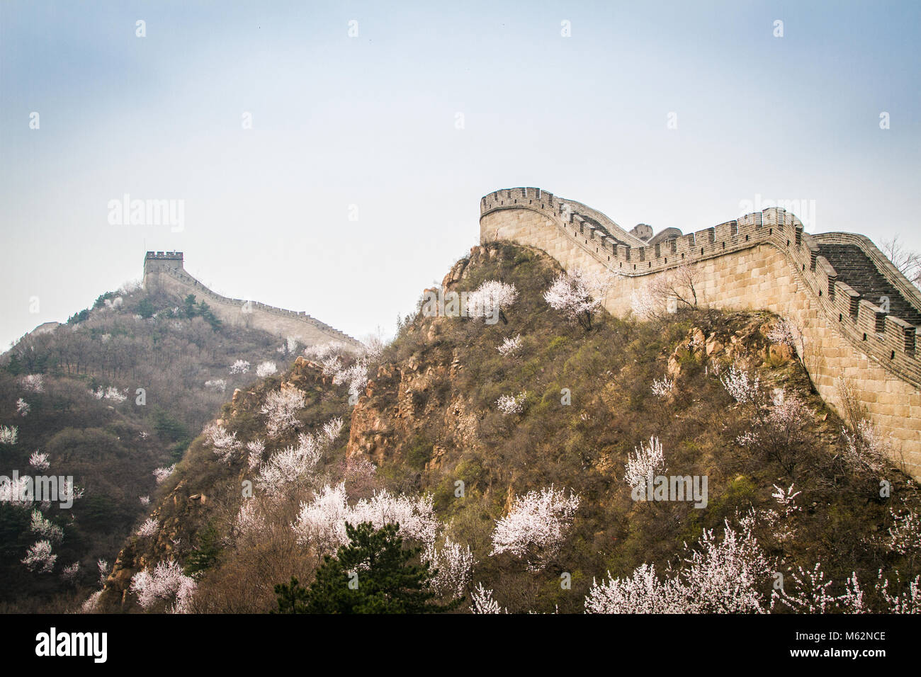 Die große Mauer von China, die Badaling Abschnitt Stockfoto