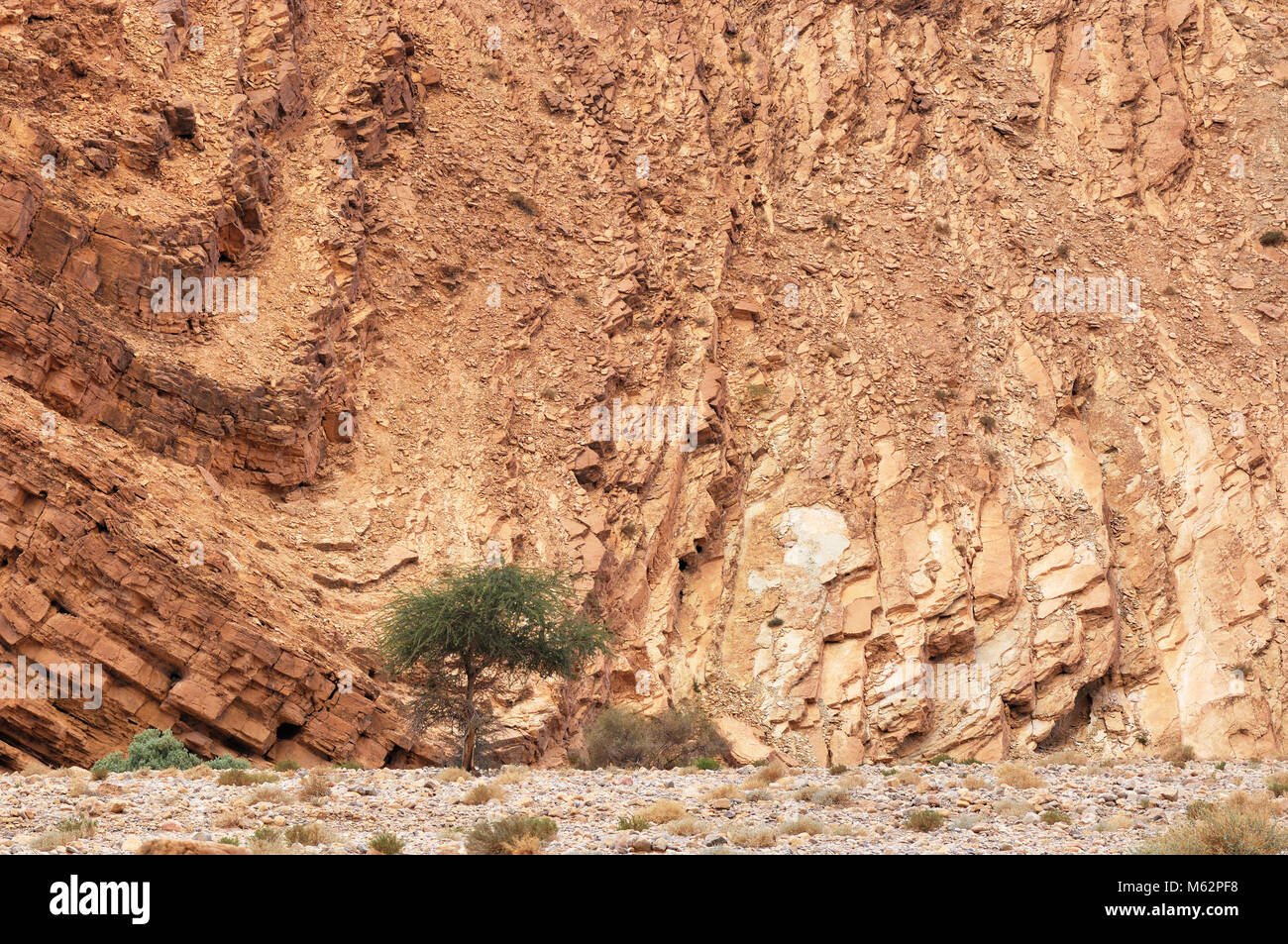 Wüste in Marokko Stockfoto