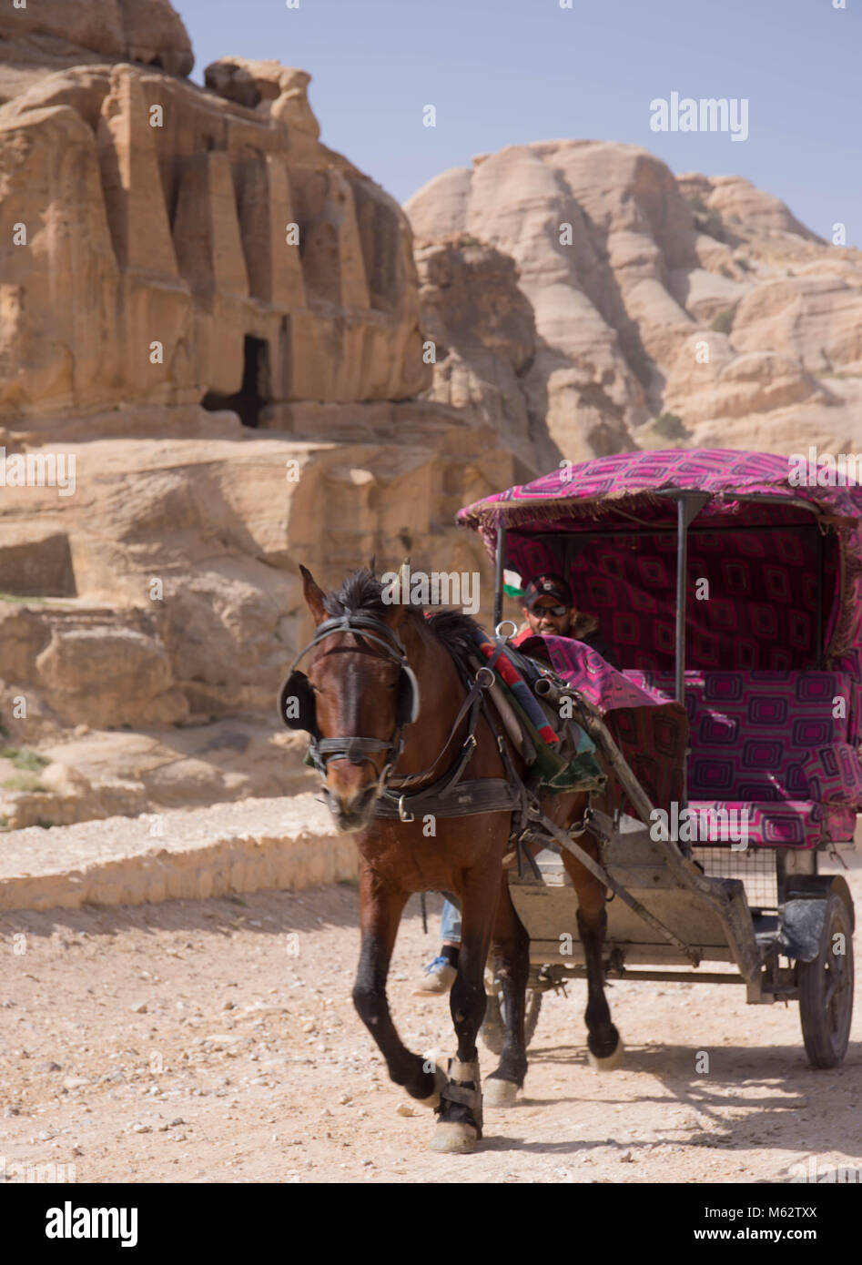 Pferd und Wagen in Petra, Jordanien Stockfoto
