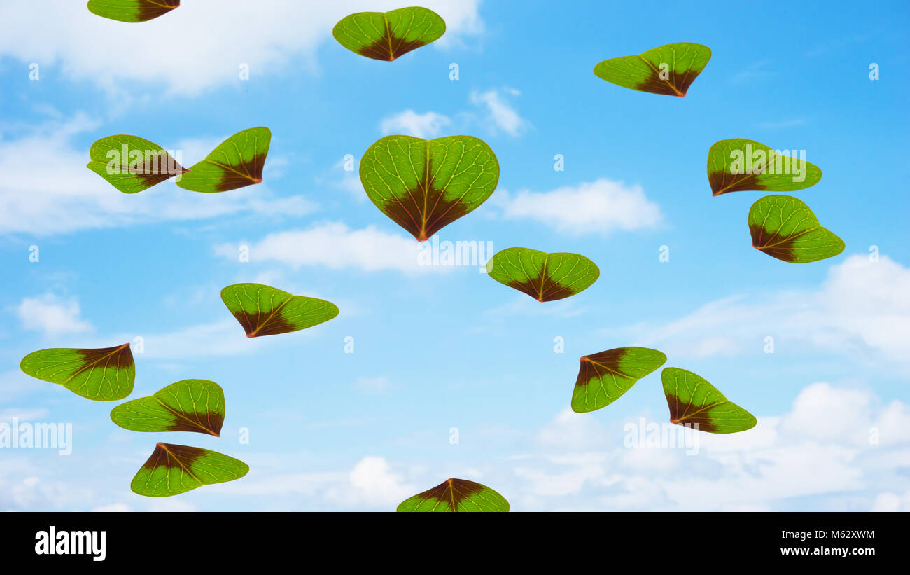 Flying trefoils Stockfoto