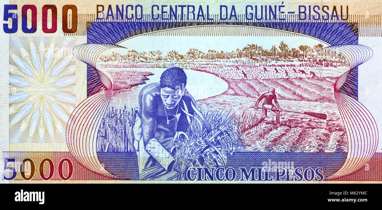 Guinea Bissau 5000 5000 Peso Bank Note Stockfoto