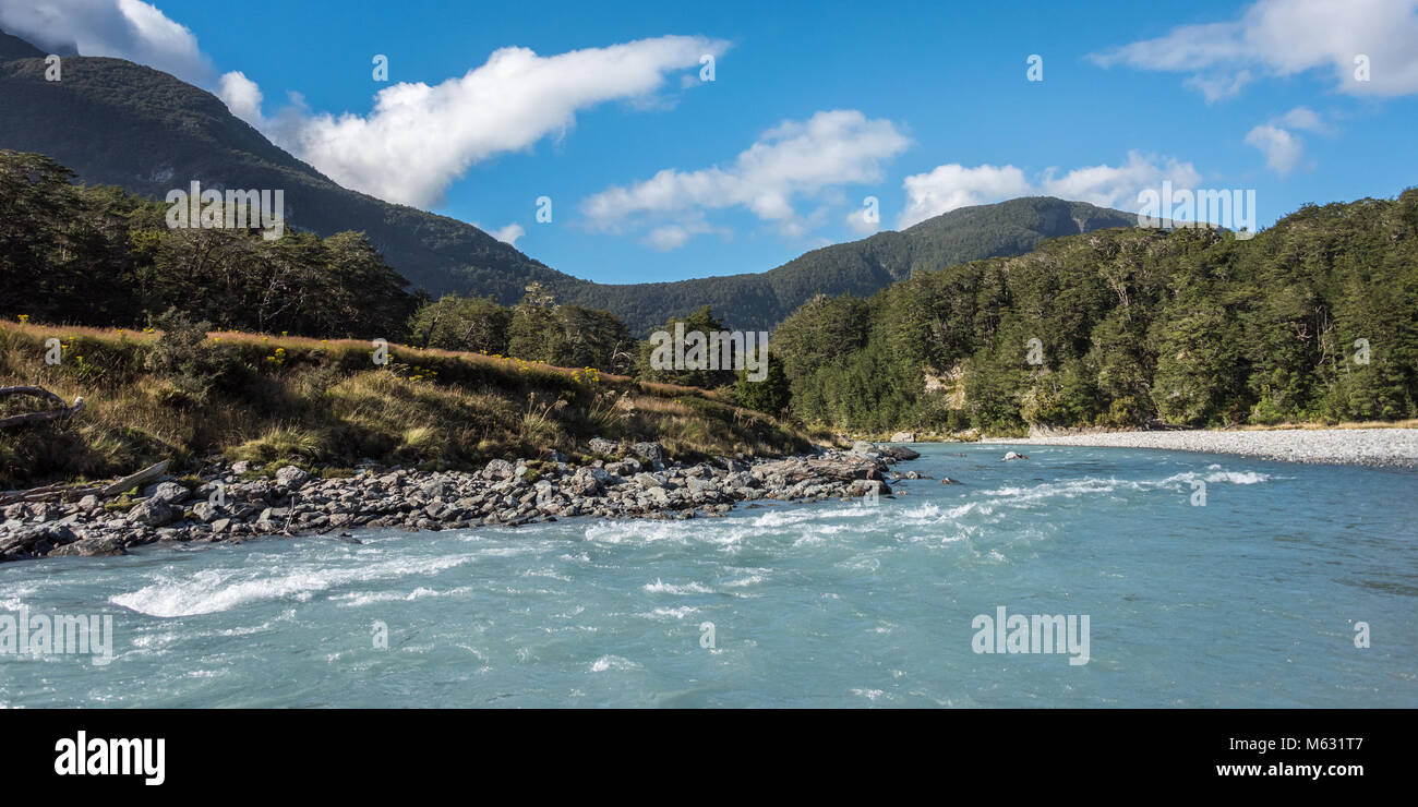 Landschaft von Dart River Jet Boat, Glenorchy, Südinsel, Neuseeland Stockfoto