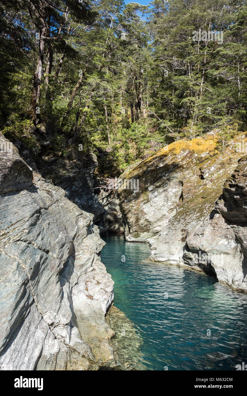 Landschaft von Dart River Jet Boat, Glenorchy, Südinsel, Neuseeland Stockfoto