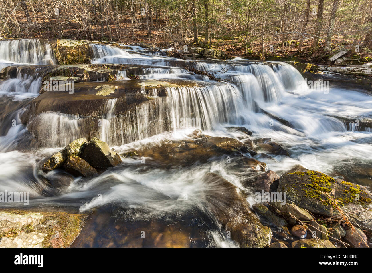 Einer mehrstufigen Wasserfällen auf steinigen Nelke Creek in Greene Land in den Catskill Mountains in Edgewood, New York Stockfoto
