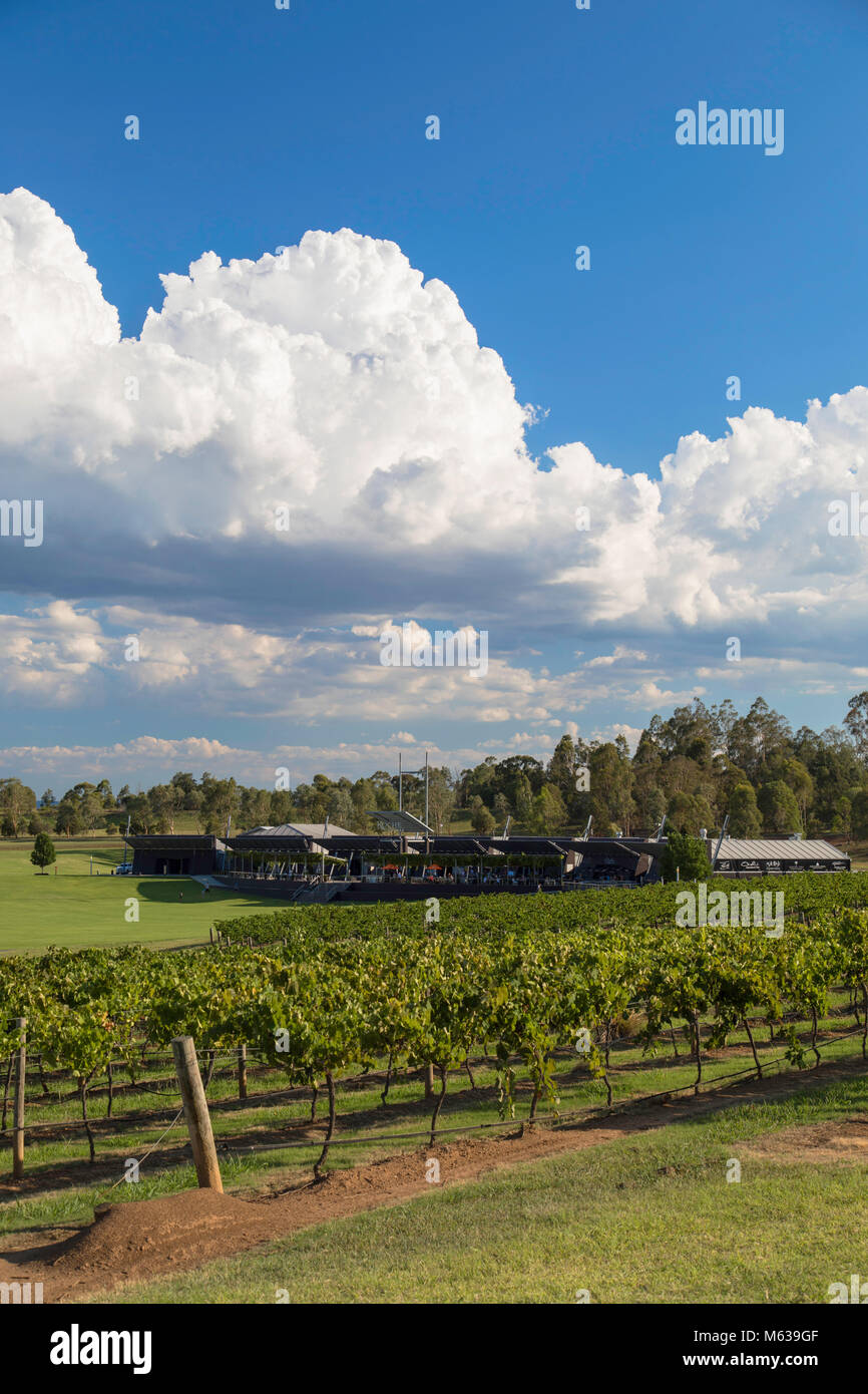 Roche Immobilien, Hunter Valley, New South Wales, Australien Stockfoto