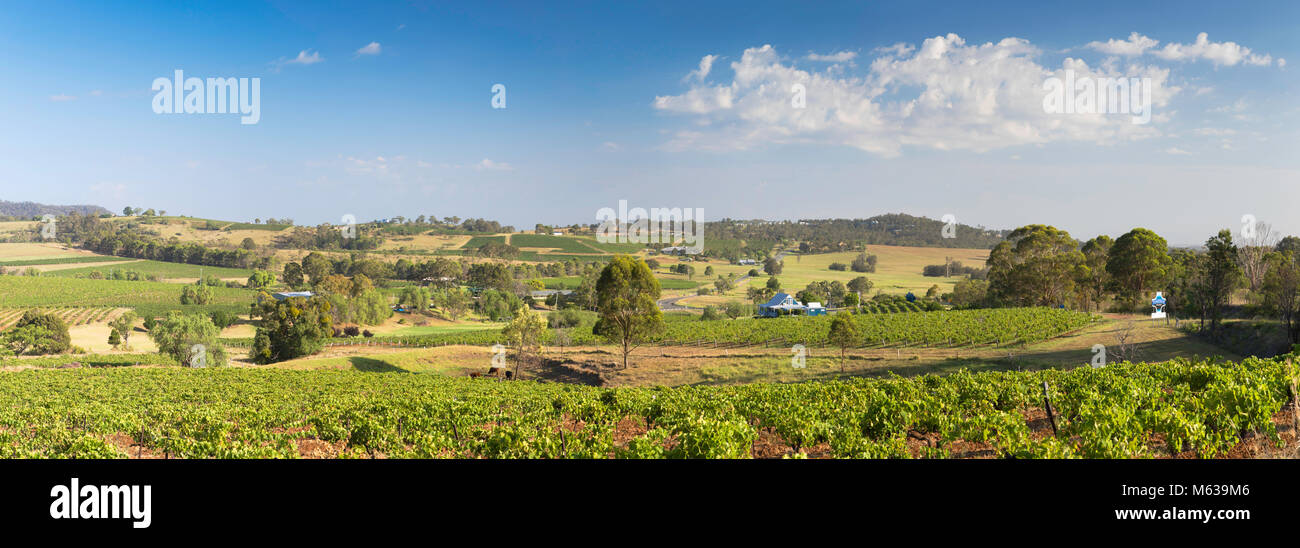 Ivanhoe Weingut, Hunter Valley, New South Wales, Australien Stockfoto
