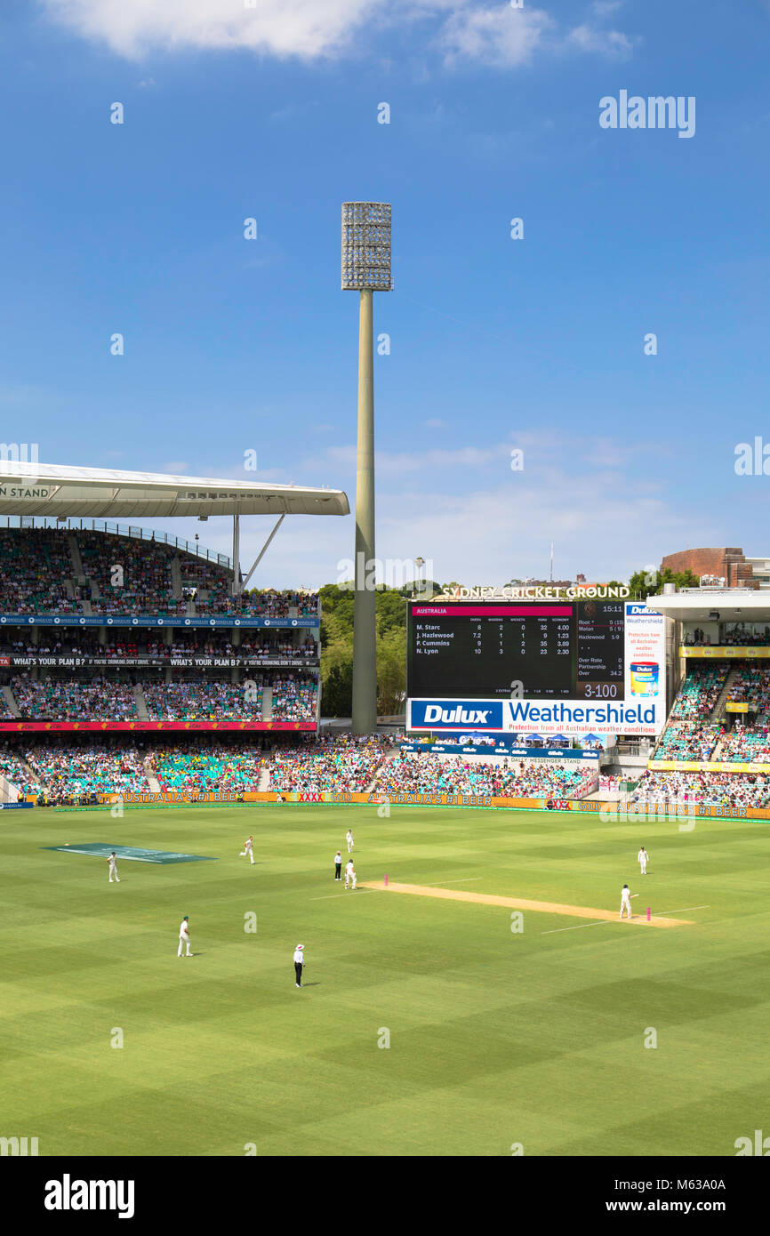 Test Cricket Match an der Sydney Cricket Ground, Sydney, New South Wales, Australien Stockfoto