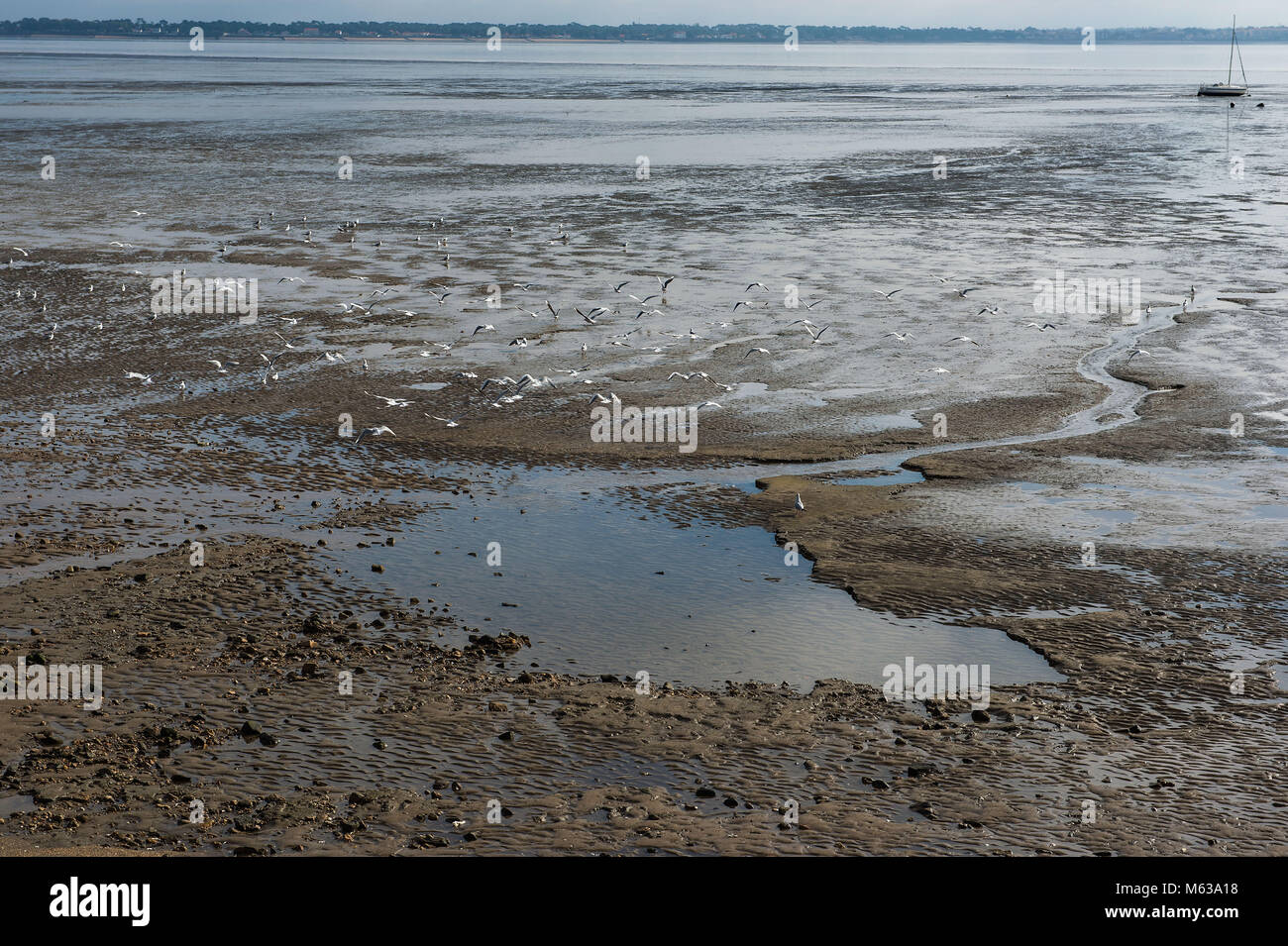 Saint Nazaire, der Strand bei Ebbe. Frankreich Stockfoto