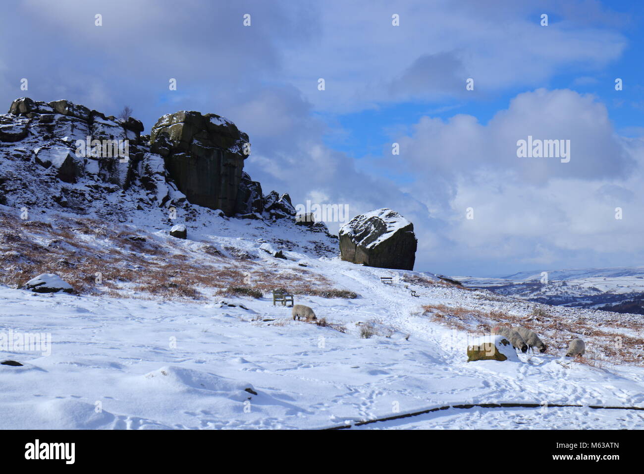 Kuh & Kalb Felsen auf Ilkley Moor, West Yorkshire, wie das Tier aus dem Osten kommen Störungen auf dem Land Stockfoto