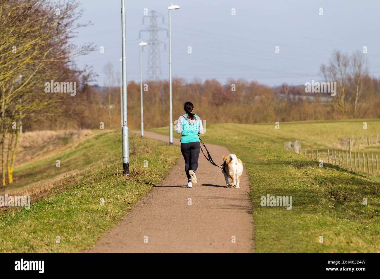 Frau und Hund joggen entlang Pfad am Fluss Nene Überschwemmungsgebiete, Northampton, Großbritannien Stockfoto