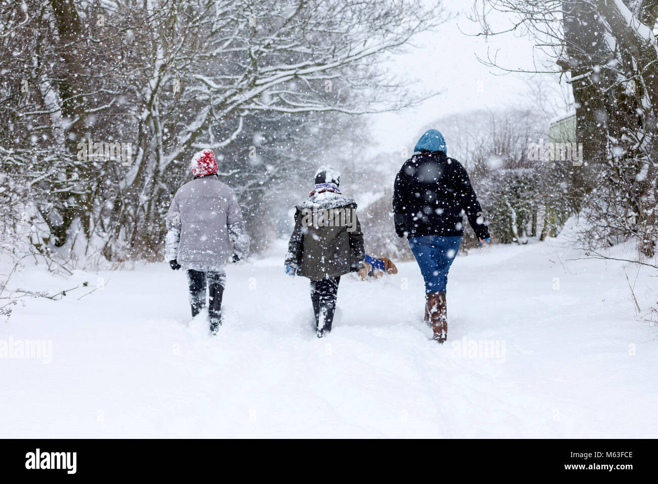 Marwood, Barnard Castle, County Durham, UK. 28 Feb, 2018. UK Wetter. Wie schweren Schnee decken den Bereich um Barnard Castle schließen viele Schulen dieser Familie heraus zu erhalten und einen Spaziergang im Schnee genießen. Die Prognose ist für mehr von der gleichen mit einem Met Office Bernstein Wetter Warnung für Schnee in Kraft für den Nordosten Englands. David Forster/Alamy leben Nachrichten Stockfoto