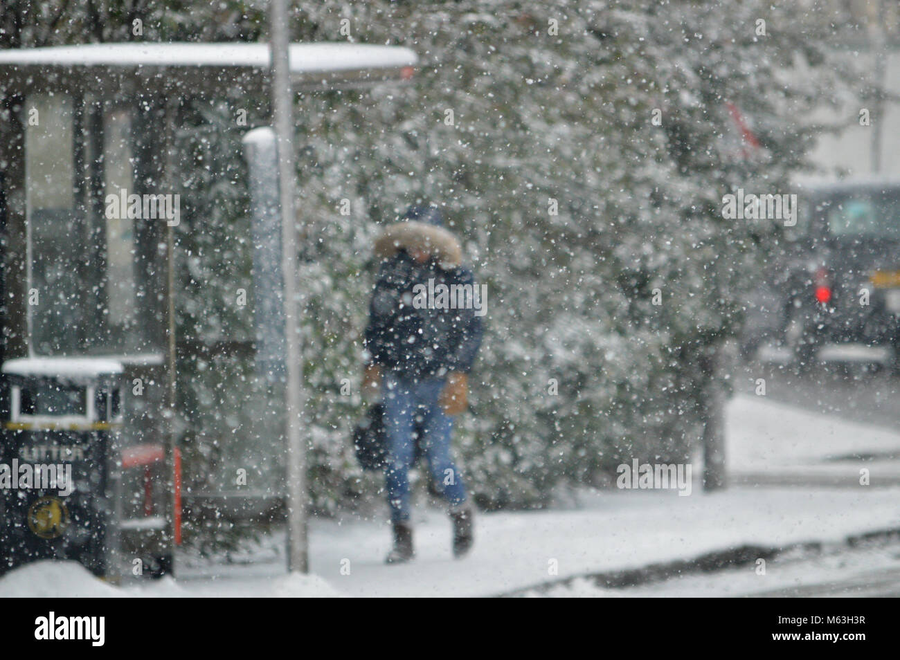 London, UK, 28. Februar 2018 Person zu Fuß über einen Fußweg in East London während der schweren Schnee, Teil # BeastfromtheEast Sturm war. Credit: Christy/Alamy Leben Nachrichten. Stockfoto