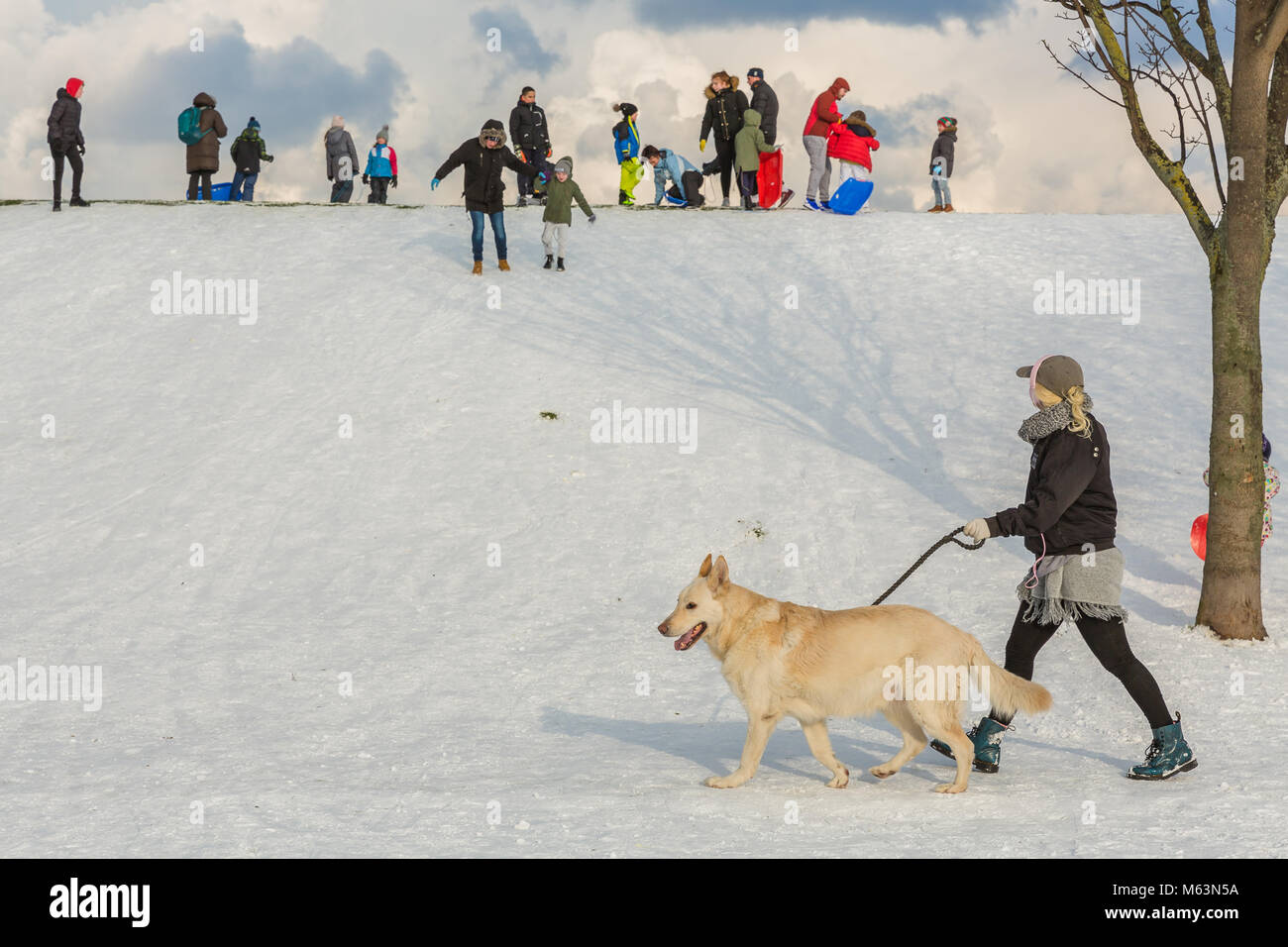 Dublin, Irland. 28. Februar 2018. Familien und Hund Wanderer genießen den neu gefallenen Schnee in Eamonn Ceannt Park, Kimmage, als "Tier aus dem Osten' nimmt in Dublin. Credit: Butler Fotografische/Alamy leben Nachrichten Stockfoto