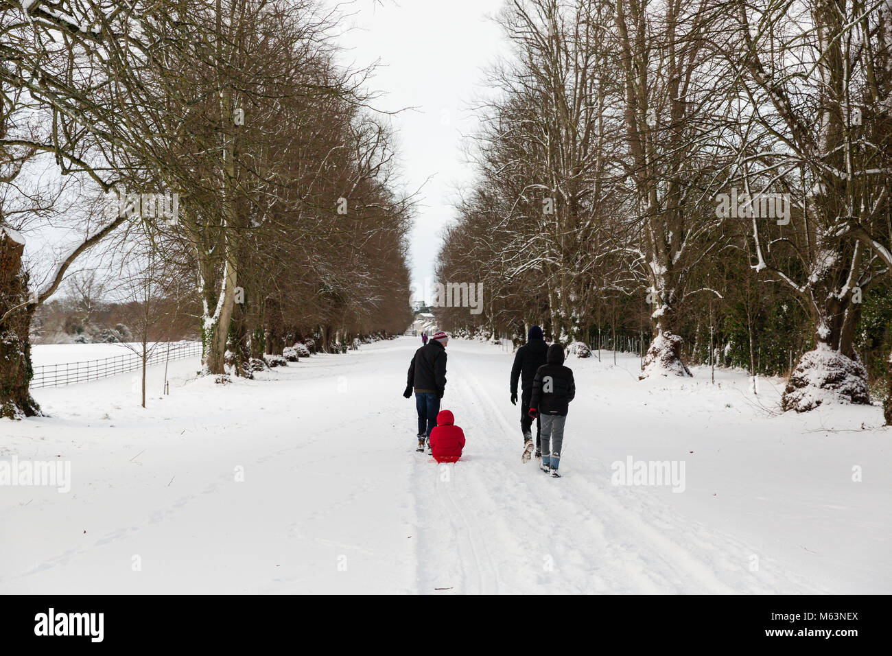 Celbridge, Kildare, Irland. 28 Feb 2018: Irland Wetter. Tier aus dem Osten hits irische Städte. Starker Schneefall in Celbridge. Familie Spaziergang im Castletown Park. Stockfoto