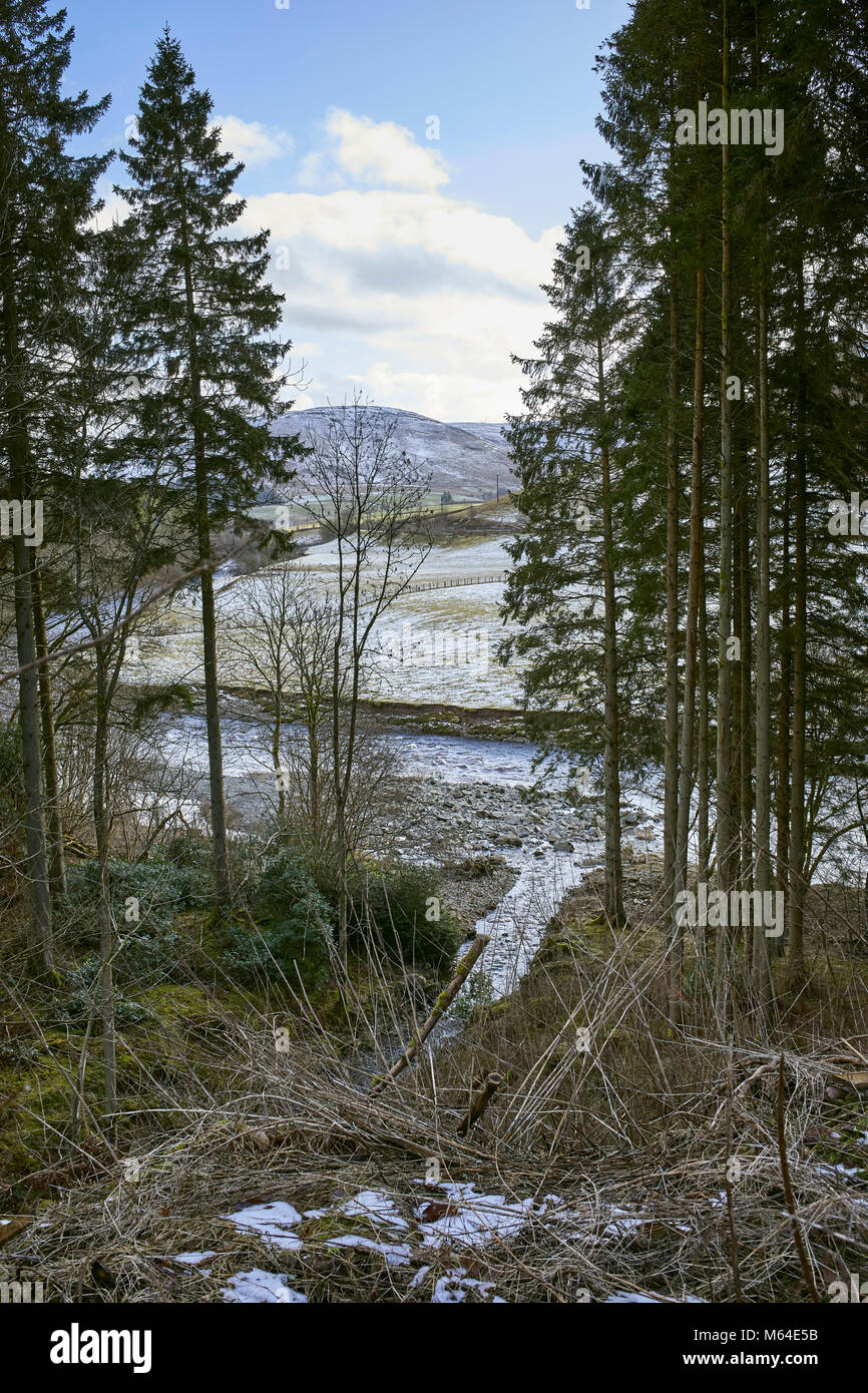 Blick nach Süden Osten aus dem Bereich der Kirkton Hill über den Fluss Esk in Richtung Bombie Hill. Bentpath Stockfoto