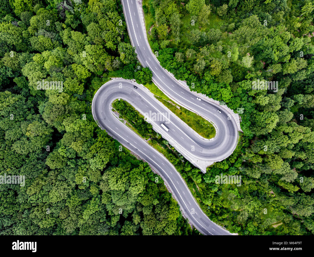 Haarnadelkurve kurvenreiche Straße durch den Wald Stockfoto