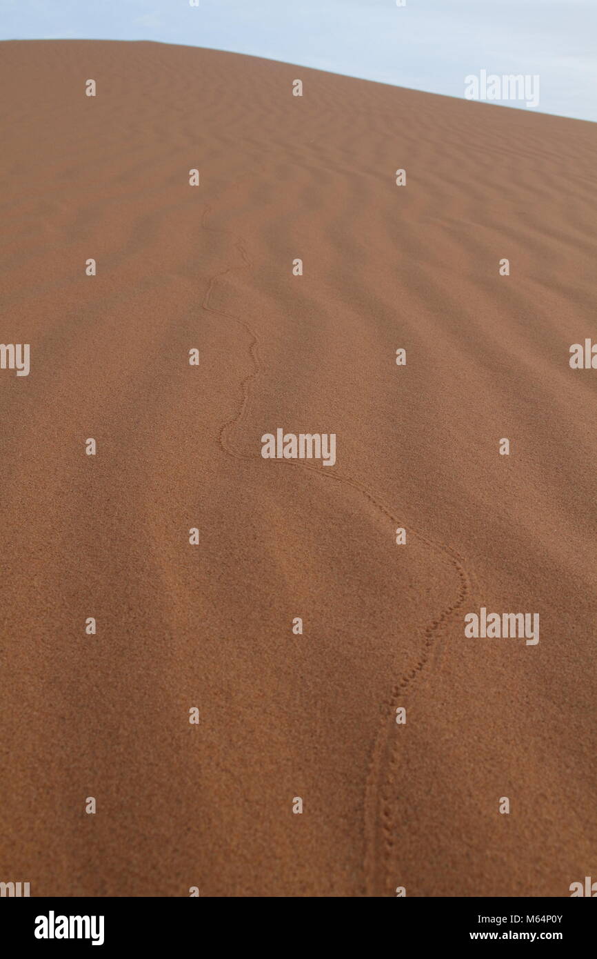 Fußabdrücke auf einem marokkanischen Sanddüne Stockfoto