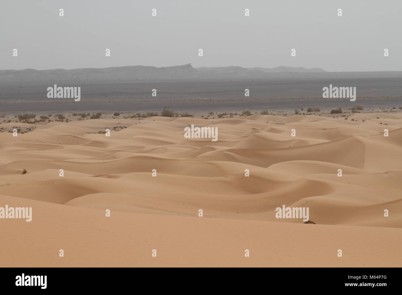 Algerien grenze Fotos und Bildmaterial in hoher Auflösung Alamy