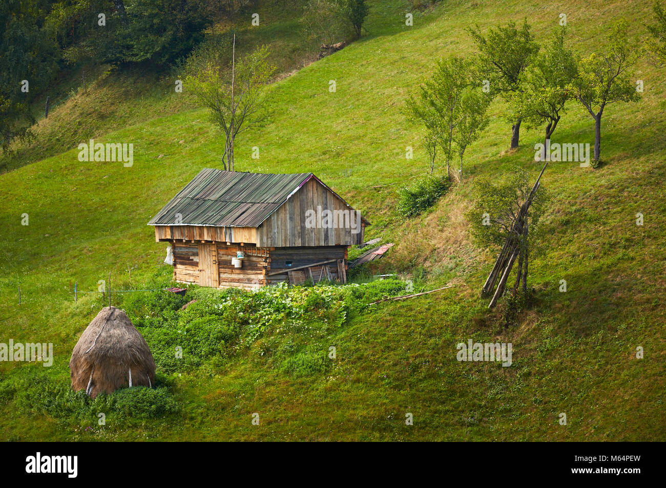 Alten rustikalen hölzernen Scheune auf der grünen Wiese in Rucar-Bran Pass, Brasov County, Siebenbürgen, Rumänien. Frühling Landschaft Landschaft. Stockfoto