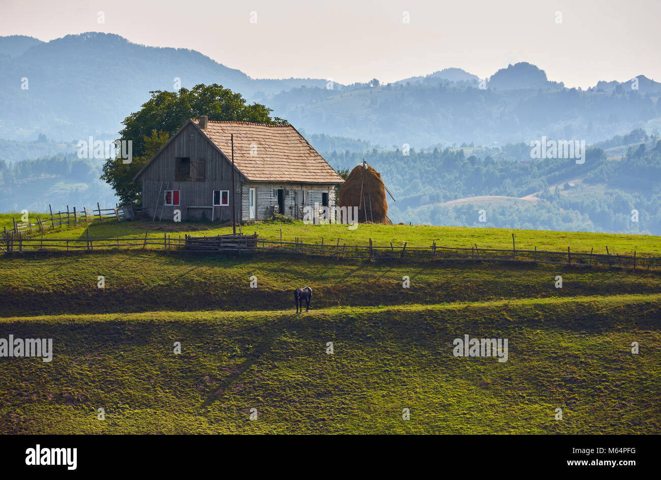 Remote im Landhausstil stabil und Black Horse Beweidung auf die grüne Weide in Rucar-Bran Pass, Brasov County, Siebenbürgen, Rumänien. Frühling ländlichen Stockfoto