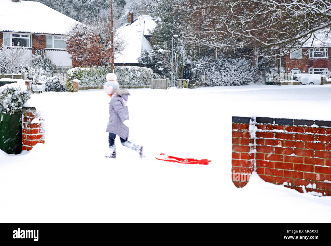 Ein kleines Mädchen einen Schlitten ziehen entlang einer verschneiten Pflaster nach schweren Schnee in Hellesdon, Norfolk, England, Vereinigtes Königreich, Europa. Stockfoto