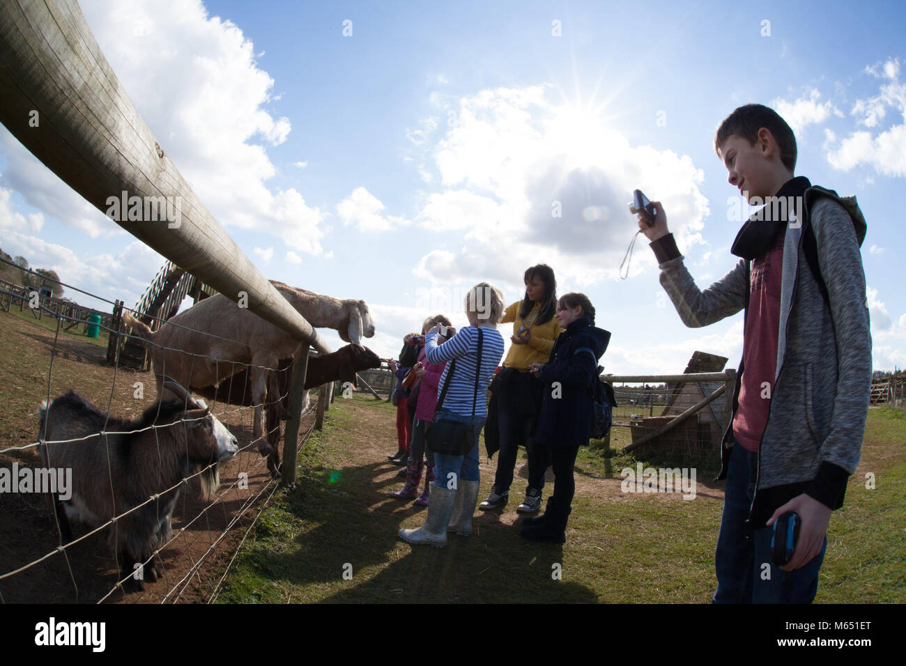 Gruppe von gemischten Alter und Geschlecht Kinder besuchen Bauernhof, Fotografieren der Tiere Stockfoto