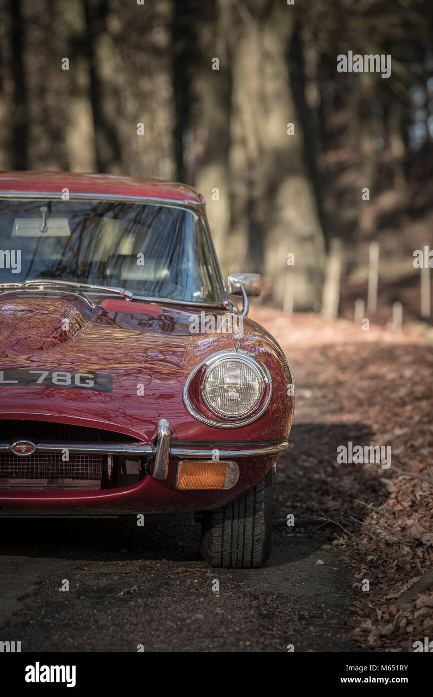 Jaguar E-Type Stockfoto