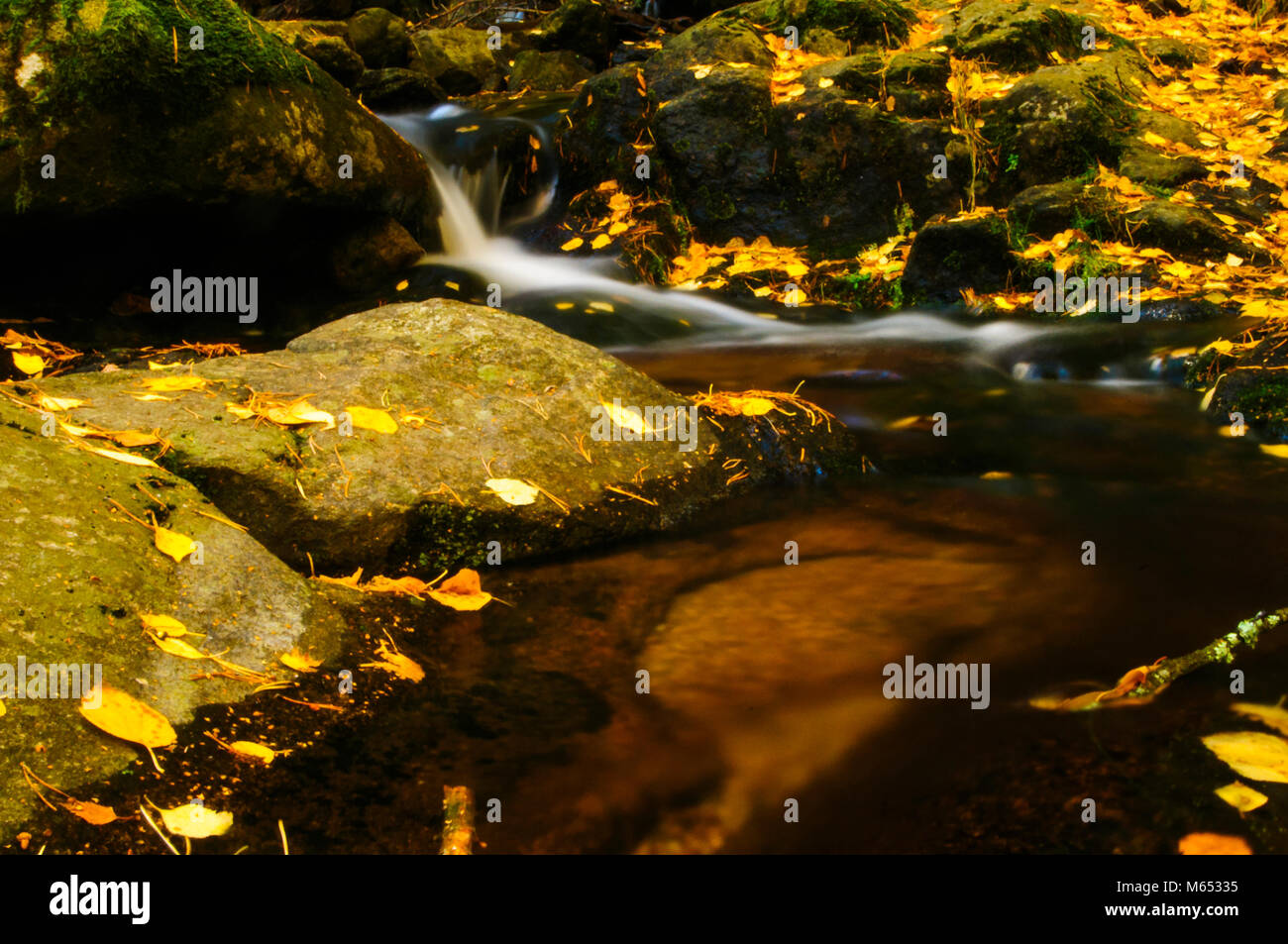 Autunm, stream, Blätter, Hintergrund, Hintergrund, bunte Stockfoto