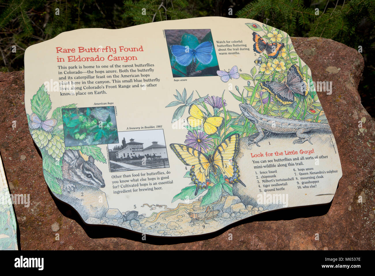 Interpretierende Platine entlang Fowler Trail, Eldorado Canyon State Park, Colorado Stockfoto