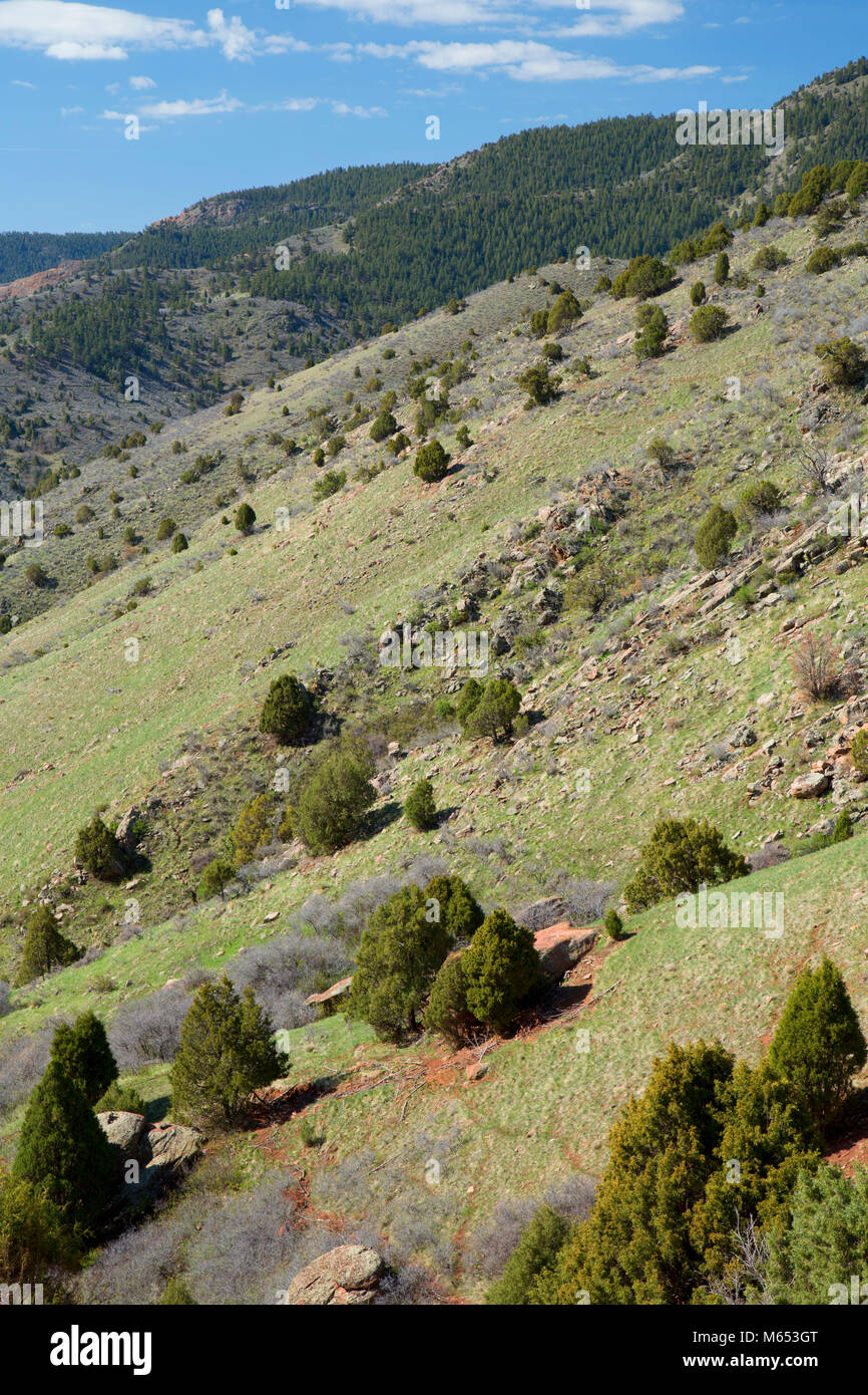 Vordere Strecke Steigung, Red Rocks Park, Jefferson County, Colorado Stockfoto