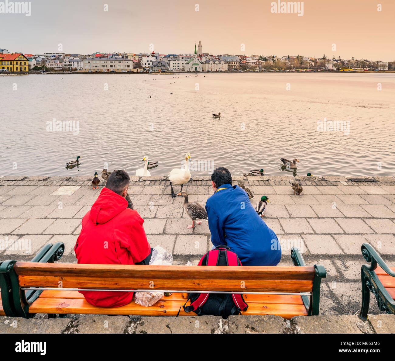 Menschen die Fütterung der Vögel, Reykjavik Teich, Reykjavik, Island. Stockfoto