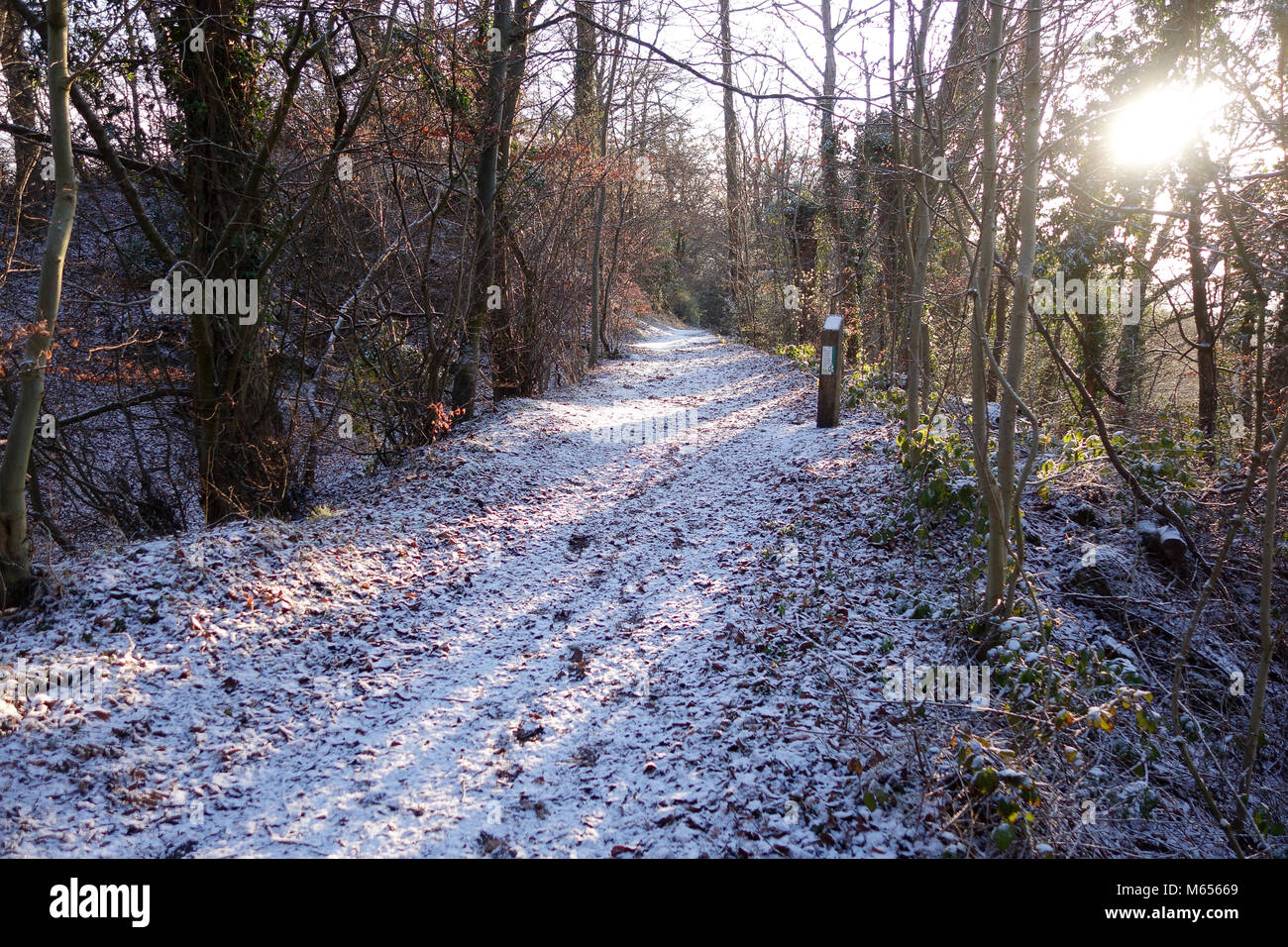 Winter Wanderungen entlang der Sabbat Spaziergänge Trail in Much Wenlock Großbritannien 2018 Stockfoto