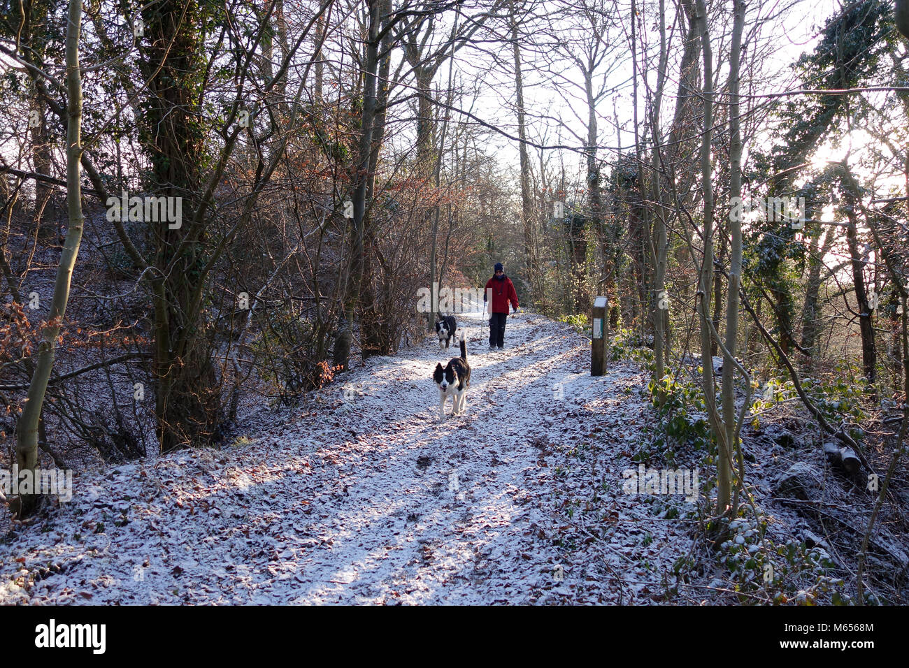 Winter Wanderungen entlang der Sabbat Spaziergänge Trail in Much Wenlock Großbritannien 2018 Stockfoto
