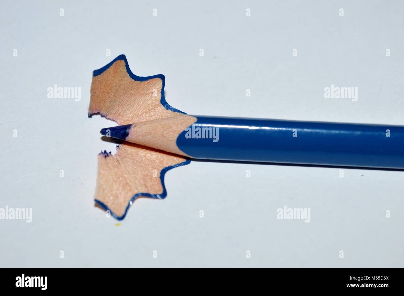 Blau Bleistift aus Holz Stockfoto