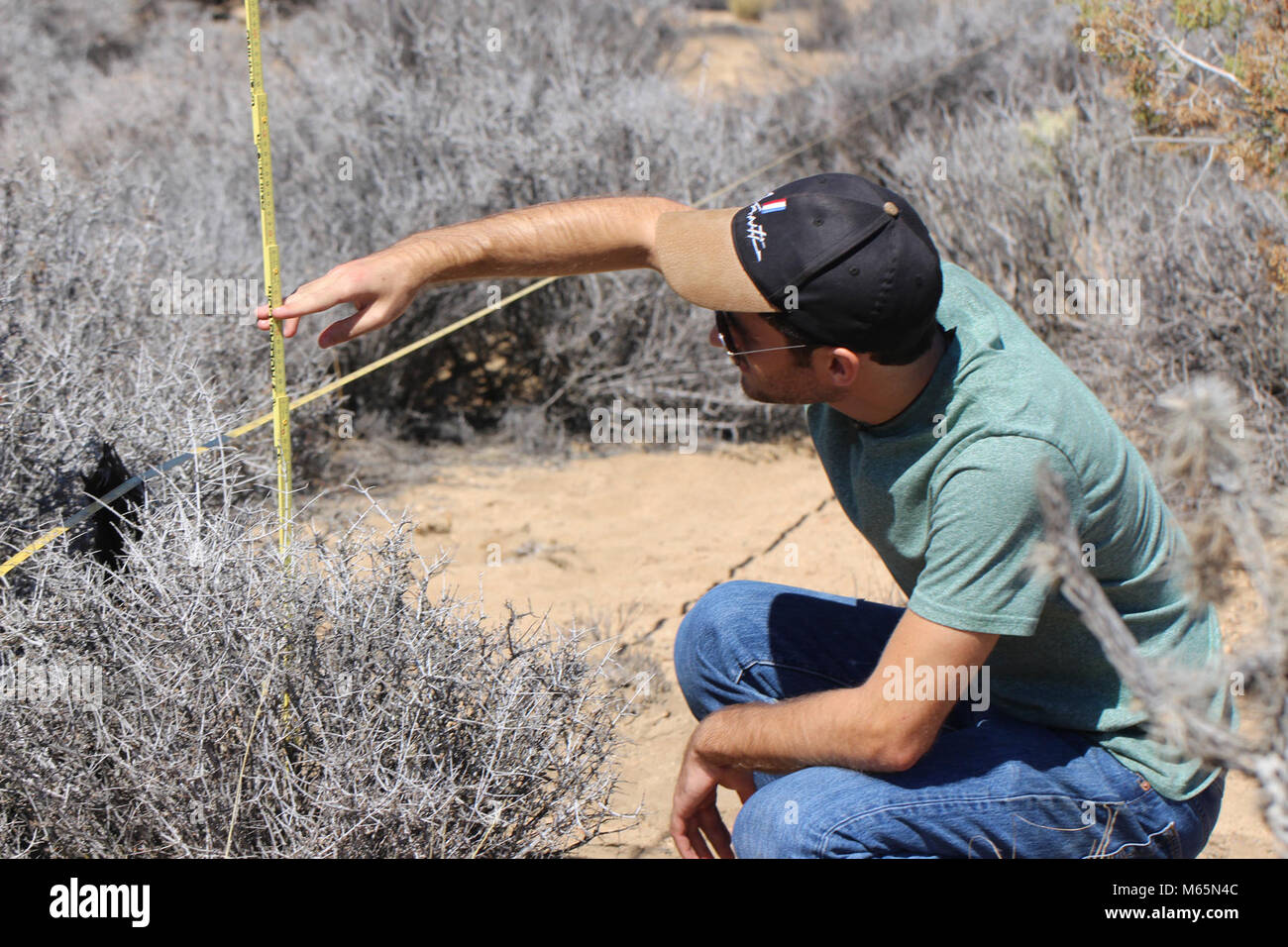 Citizen Science Klimawandel & Überwachung der Vegetation. Stockfoto