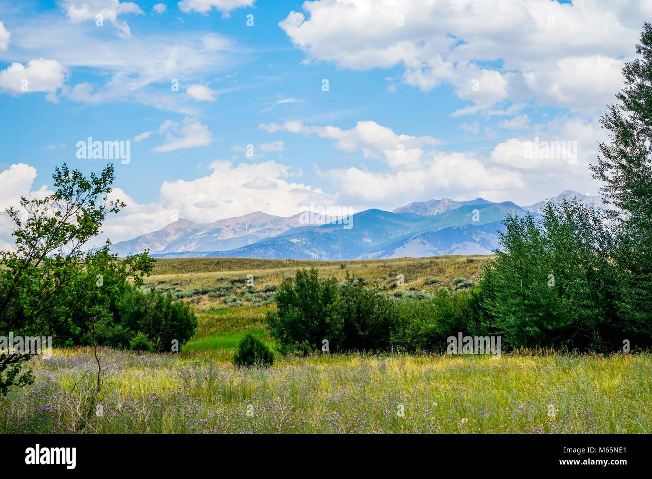 Die atemberaubenden Berge und Wiesen von Western Montana. Stockfoto