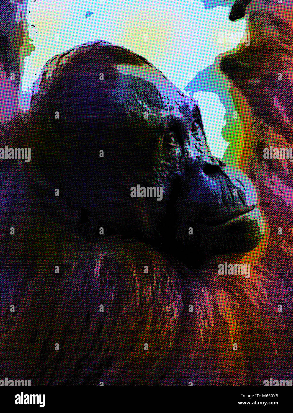Digitale Komik Portrait von einem Orang-utan Stockfoto