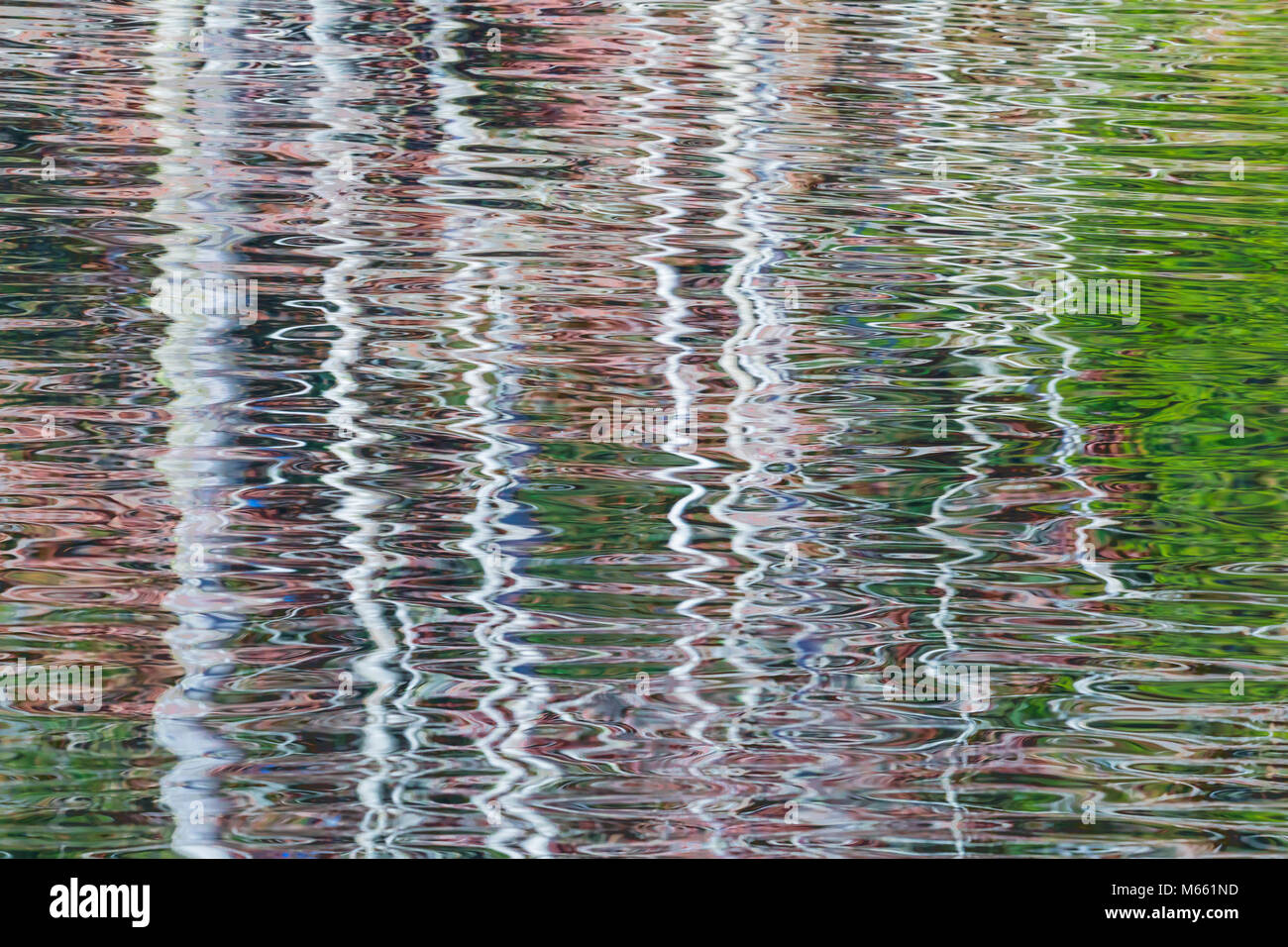 Reflexion der Erle Bäume auf einem welligen Teich - Crowne Plaza, Bainbridge Island Stockfoto