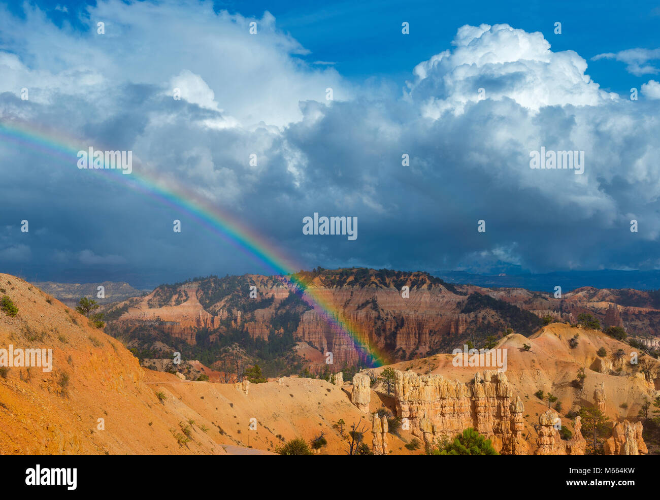 Regenbogen, Märchenland, Bryce Canyon National Park, Utah Stockfoto