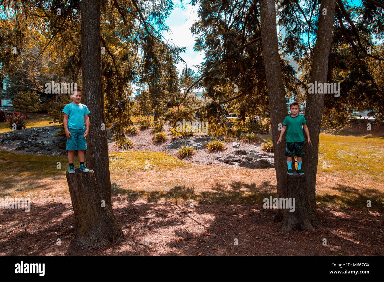 Twin kaukasischen Brüder stehen auf zwei Baumstämmen in einem Park im Sommer und versuchen Sie zu springen Stockfoto