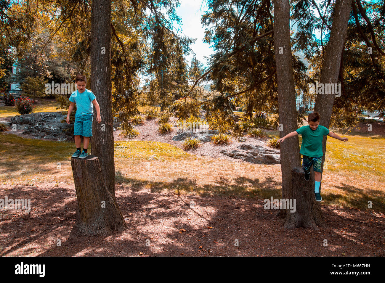 Twin kaukasischen Brüder stehen auf zwei Baumstämmen in einem Park im Sommer und versuchen Sie zu springen Stockfoto