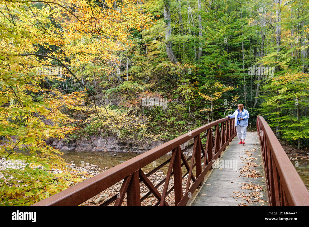 West Virginia, Appalachia Greenbrier County, Monongahela National Forest, Erholungsgebiet North Bend, Fußgängerbrücke, Allegheny Mountains, Besucher reisen tra Stockfoto